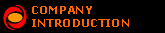 COMPANY  INTRODUCTION